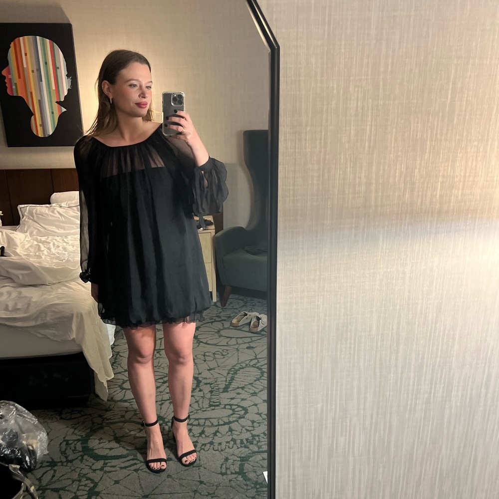 Alberta Ferretti sheer, silk dress, size 8